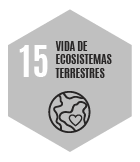 Vida de ecosistemas terrestres